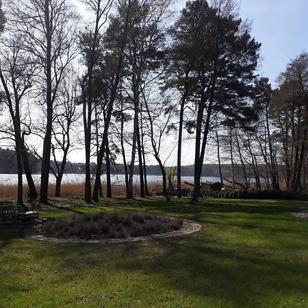 Penthouse Bernd Im Waldschloesschen Direkt Am See Wendisch Rietz Exterior foto